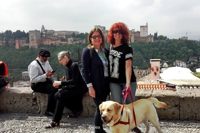 Albaicin guided tour with dogs - Getting set up for the 10:30 start (and not losing the group)