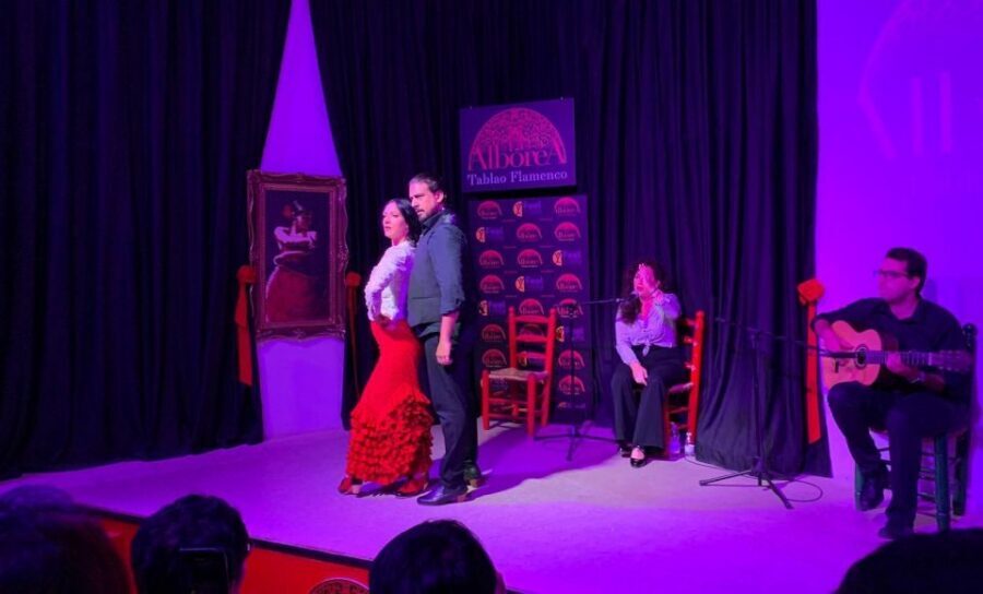 Albaicín & Sacromonte: Tour with Flamenco Show - Small Practical Tips So You Don’t Waste a Minute
