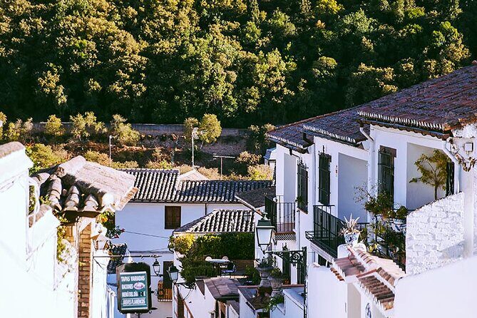 Albayzin and Sacromonte Guided Walking Tour in Granada - Albayzín Up Close: Moorish Streets, Flowers, and Old City Gates