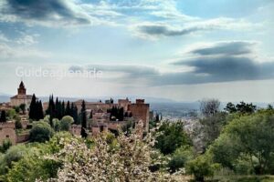 Alhambra Private Tour: Nasrid Palaces and Generalife - Inside the Alhambra: what your guided visit actually covers