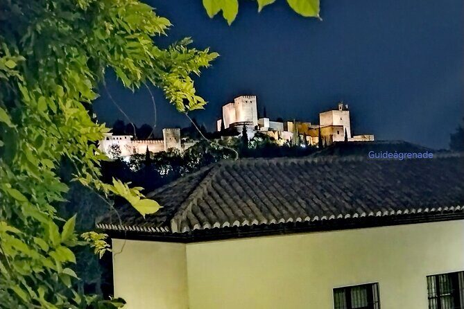Alhambra Private Tour: Nasrid Palaces and Generalife - Crowds, heat, and why “starting early” matters in Granada