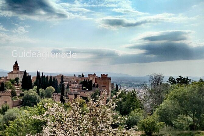 Alhambra Private Tour: Nasrid Palaces and Generalife - Inside the Alhambra: what your guided visit actually covers