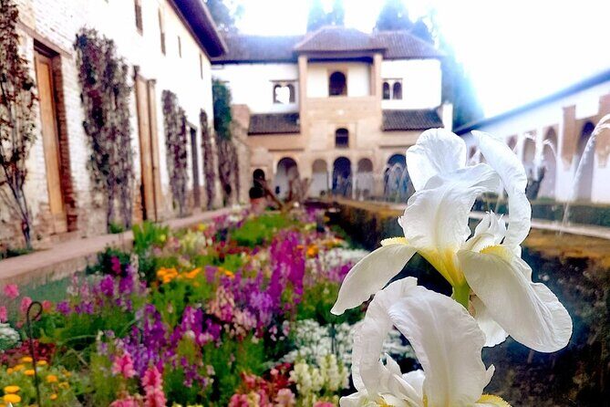 Alhambra Private Tour with Tickets to the Nasrid Palaces - Alcazaba viewpoints over Granada: the payoff you’ll feel in your legs
