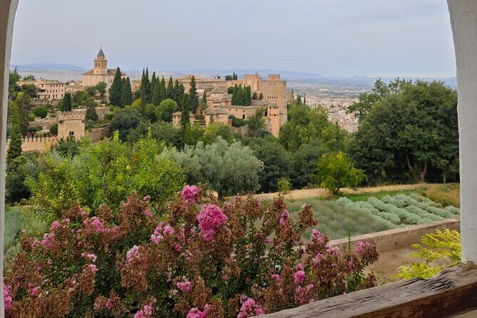 Alhambra Private Tour with Tickets to the Nasrid Palaces - Skip-the-line guidance: how this tour saves your energy