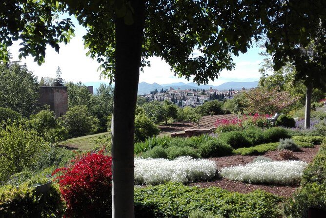 Alhambra private tour (without tickets) total/group Max 15 people - Private Alhambra time with your own official guide