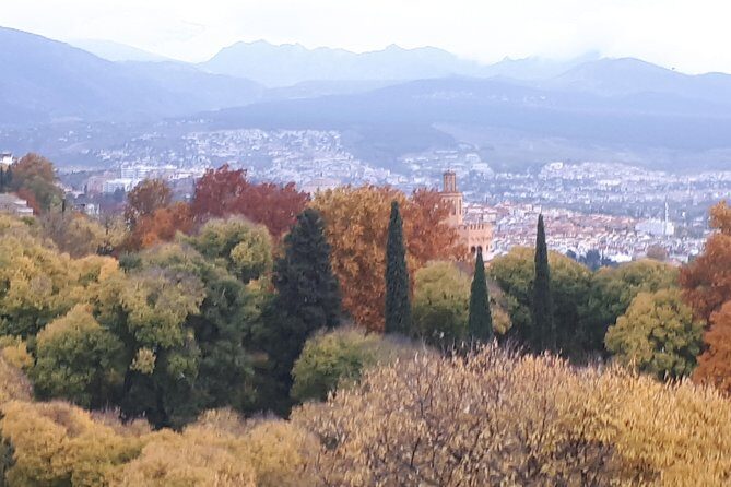 Alhambra Tour :Generalife Gardens ,Palaces and towers.Skiptheline - Where to Meet at the Generalife and Where You Finish