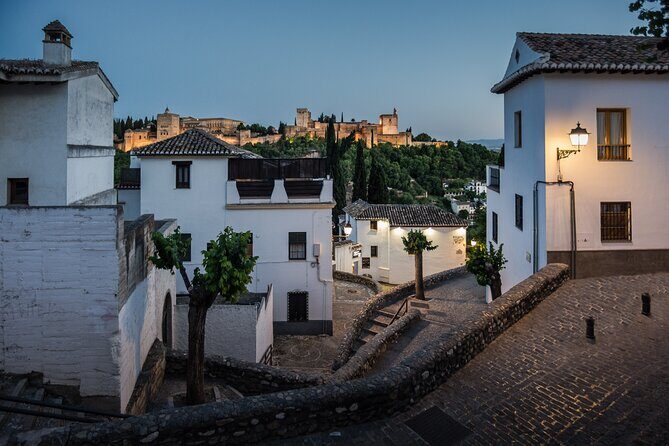 Alhambra with Nazaries Palaces Private Tour - Why a private Alhambra tour is worth it
