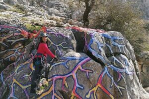 Climbing the John Hogbin Via Ferrata with Lunch - The main course: zip lines, pendulum, Tibetan bridge, and the monkey pass