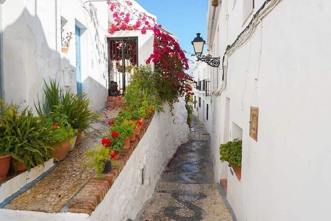 Coasts and Mountains: Nerja to Frigiliana with Nerja Caves Small-Group Day Trip - Price and value: what $325.46 buys you in real time