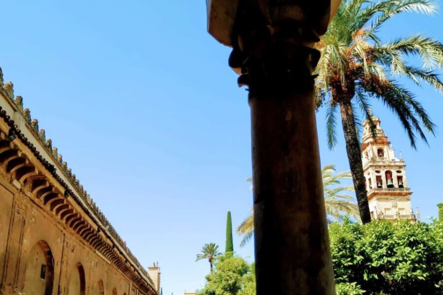 Cordoba Highlights Full-Day Tour from Granada - Getting From Granada to Córdoba (Without Turning It Into a Grind)