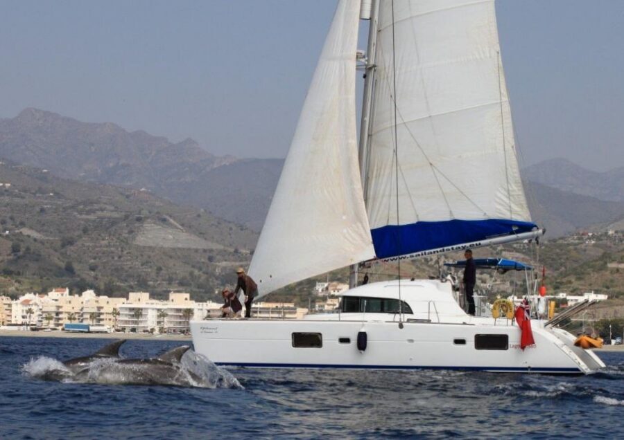 Costa Tropical: Luxury Catamaran Trip with Lunch - Lunch and Drinks Onboard: The Comfort Part