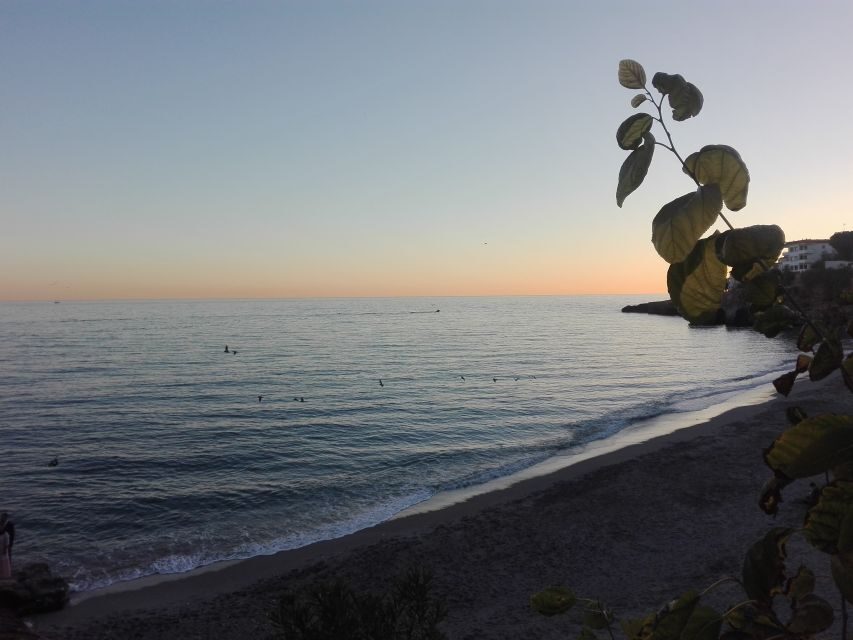Day Tour to Frigiliana & Nerja from Granada - Frigiliana Old Quarter and Mudejar Neighborhood: Time for Wine and Honey