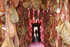 Day trip in Trevélez and a visit to ham drying factory - Fuente Agria and Chorrerón: mineral water, waterfall walking, and cool air