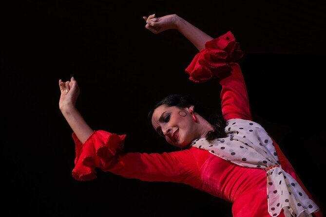 Flamenco Show in Cueva Zincalé - Who This Flamenco Show Fits Best (and Who Might Want Options)