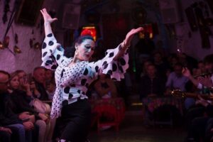 Flamenco Show in the Caves of Sacromonte - The performers: where the power comes from