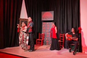 Flamenco Show in the Center of Granada - Inside the Venue: Why the Seating Gives You a Real View