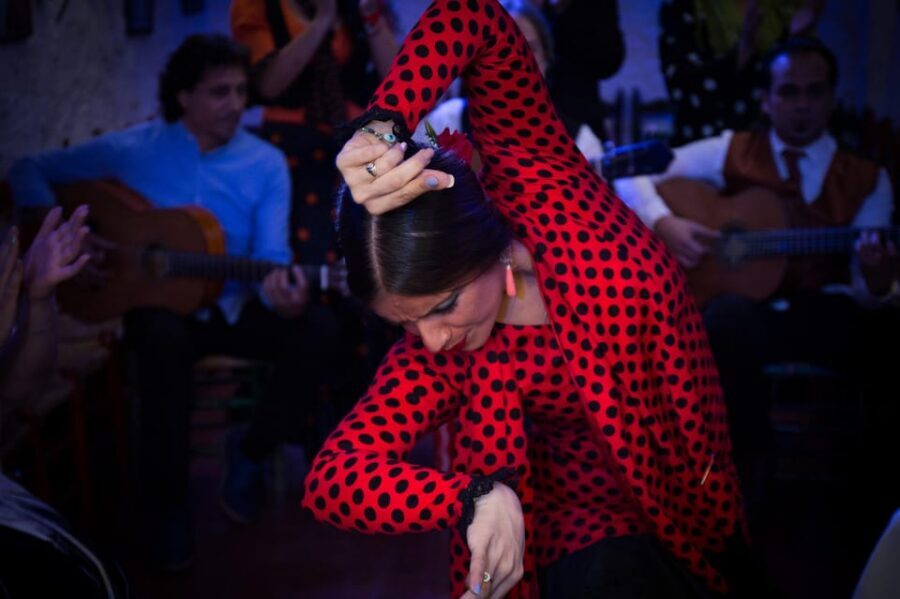 Flamenco Show: Zambra in Cuevas del Sacromonte - Who should book this Zambra show in the Sacromonte caves?