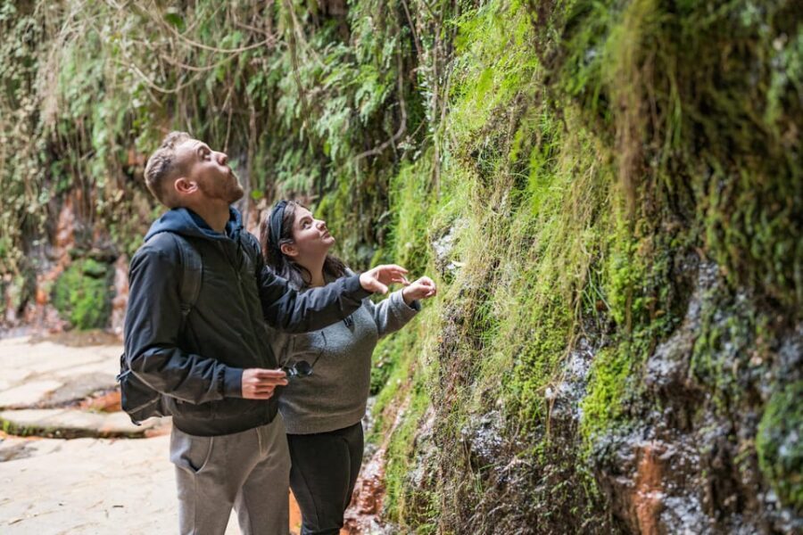 From Granada: Alpujarra Villages Guided Day Tour - Lanjarón: the region’s oldest town, seen briefly but well