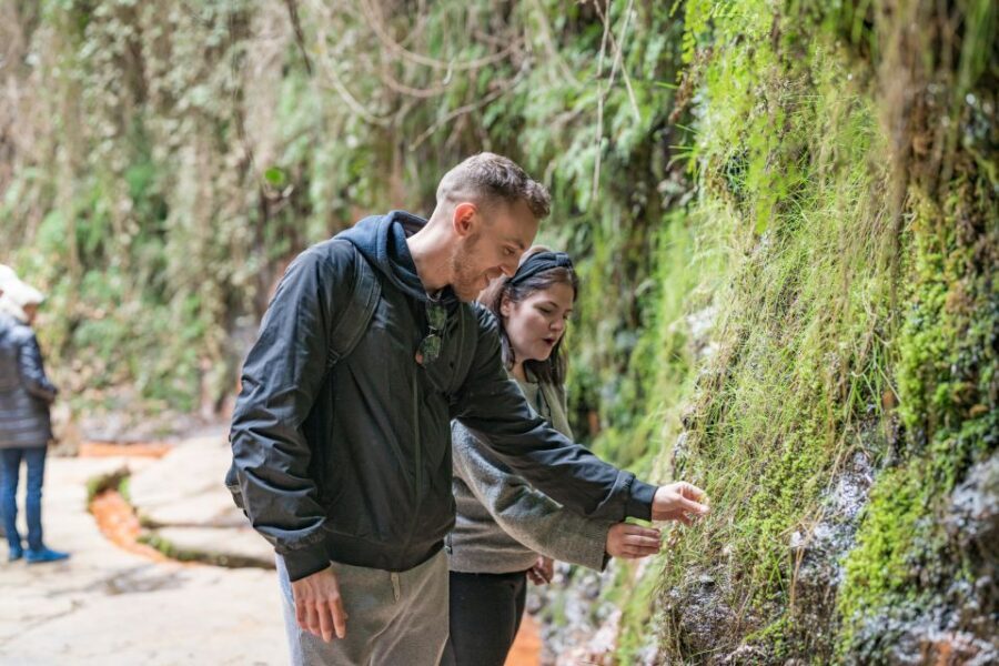 From Granada: Alpujarra Villages Guided Day Tour - Poqueira and Guadalfeo miradors: where the views do the talking