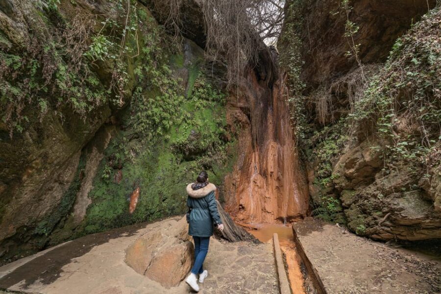 From Granada: Alpujarra Villages Guided Day Tour - Fuente Agria and the Chorrerón: spring water and waterfall payoff