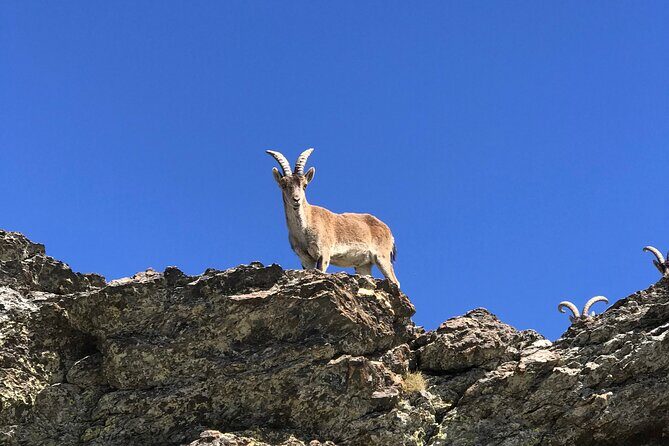From Granada: Sierra Nevada Safari tour up to 2500 meters high - How hard is it, and what should you pack?