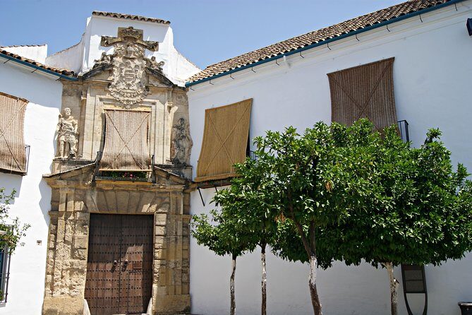 Full-Day Cordoba Tour from Granada: Mezquita Visit Included - The return ride: using the drive time to decompress