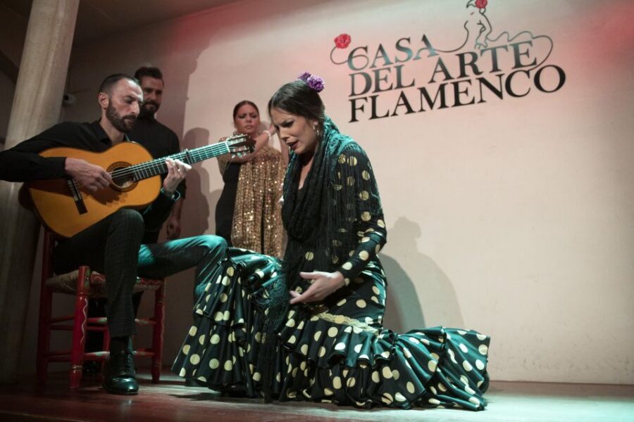 Granada: 1-Hour Traditional Flamenco Show - Price and value: is $23 a good deal for Granada flamenco?