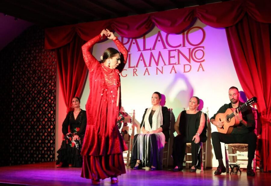 Granada: 1-Hour Traditional Flamenco Show at Palacio - Pre-Show Drinks Near Plaza Nueva: Settle In, Then Watch