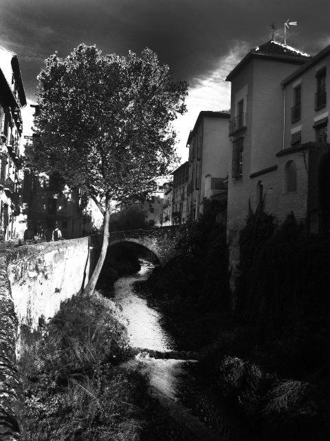 Granada Albaicín: 2.5-Hour Tapas & Drinks Walking Tour - Wine Tasting at I love Granada and What It Adds