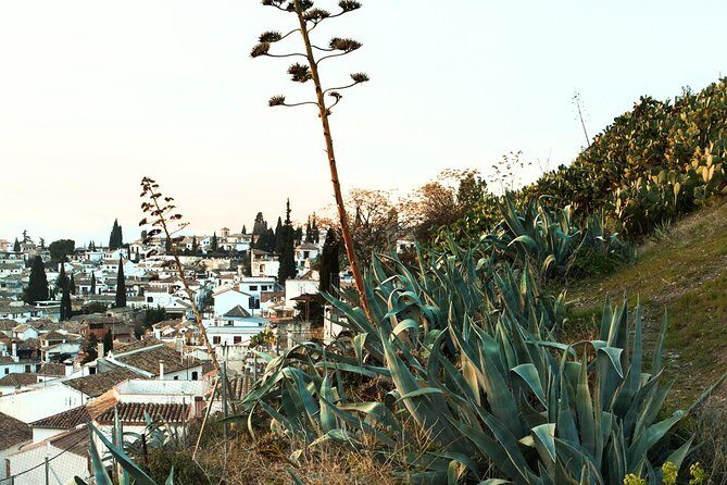 Granada: Albaicin and Sacromonte Private Tour - Calle Cruz de la Rauda: where the spiritual layer makes sense