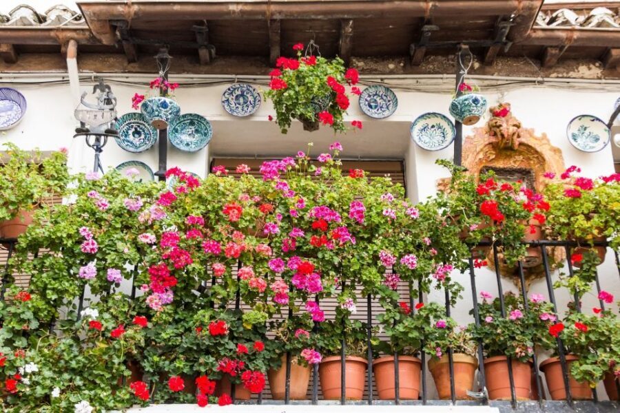 Granada: Albaicín and Sacromonte Walking Tour - Key things you’ll notice on this Granada walk