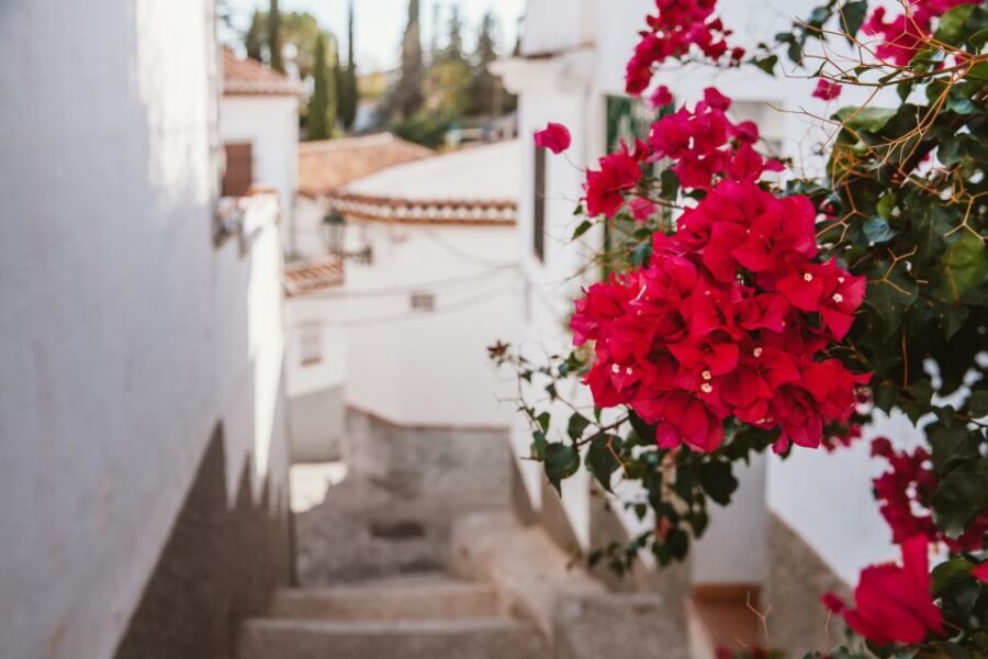 Granada: Albaicín and Sacromonte Walking Tour - Sacromonte caves: why hillside living shaped culture