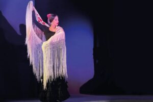 Granada: Albaicín & Sacromonte Walking Tour & Flamenco Show - Getting your bearings at Plaza Nueva
