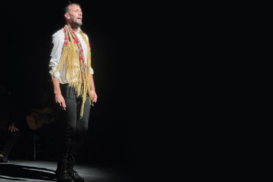 Granada: Albaicín & Sacromonte Walking Tour & Flamenco Show - Pace, fitness, and who should book it