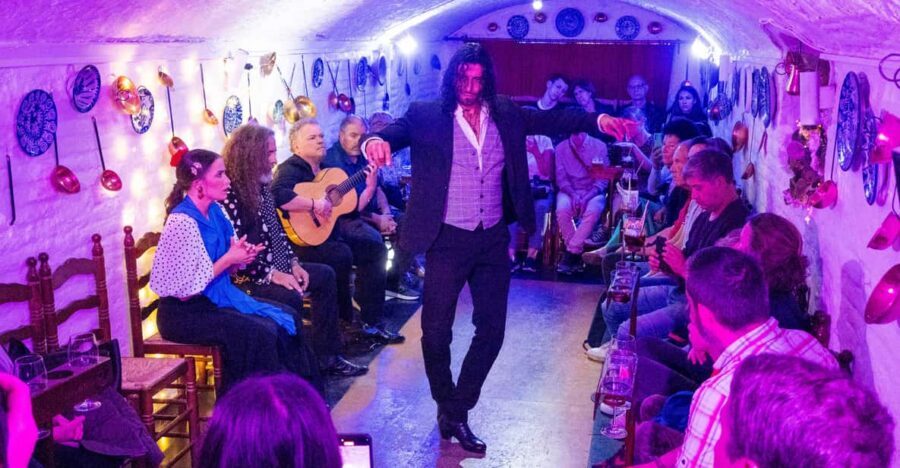 Granada: Authentic and intimate Flamenco Show with Snacks - Should you book Cueva Flamenca La Comino?