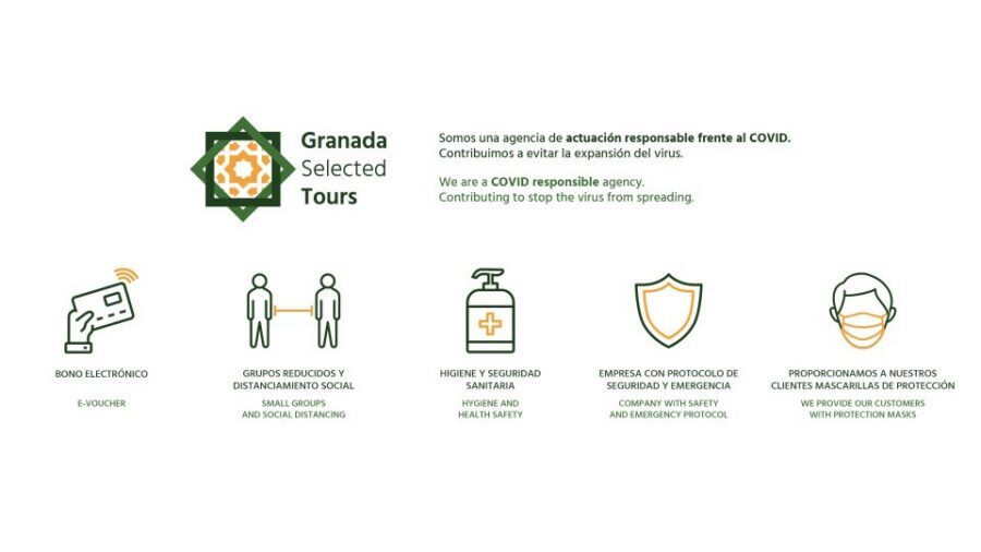 Granada: Fast-Track Alhambra & Nasrid Palaces Guided Tour - Key Things You’ll Notice Right Away