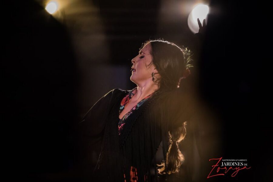 Granada: Flamenco Show in Albaycin - Jardines de Zoraya - Key Points at a Glance