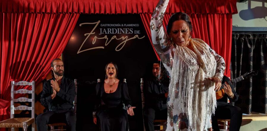 Granada: Flamenco Show in Albaycin - Jardines de Zoraya - Is It Worth $28? Value for What You Actually Get