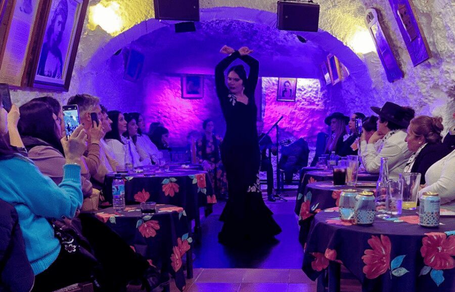 Granada: Flamenco Show in the Cave LA FARAONA - Your one-hour plan: meeting point to final curtain