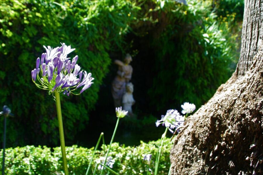 Granada: Gardens of Carmenes Guided Tour - Key Things to Know Before You Go