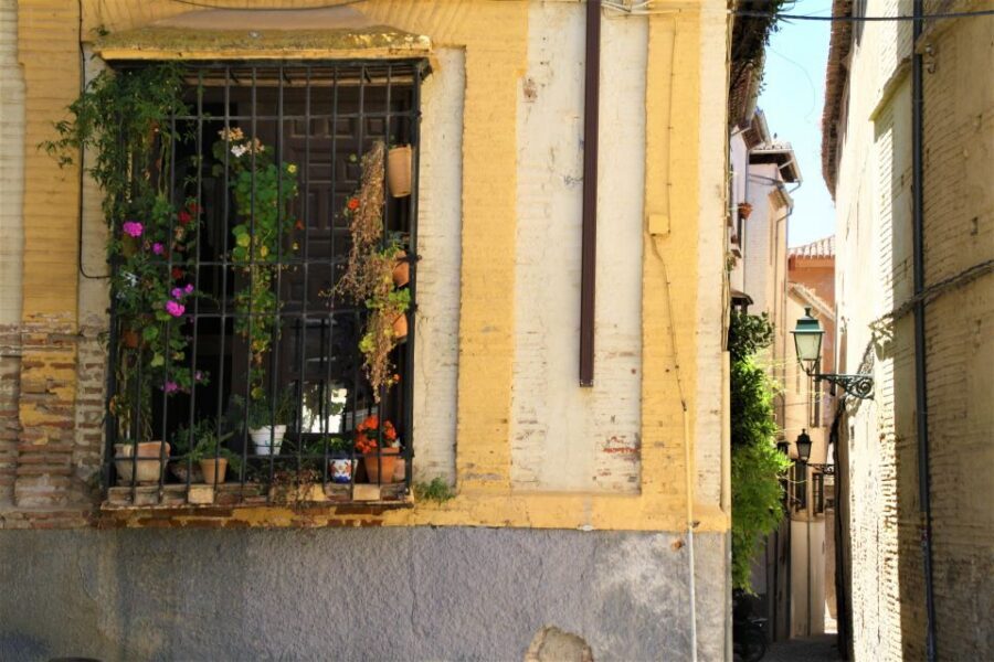 Granada: Gardens of Carmenes Guided Tour - Who This Tour Fits Best (And Who Should Skip It)