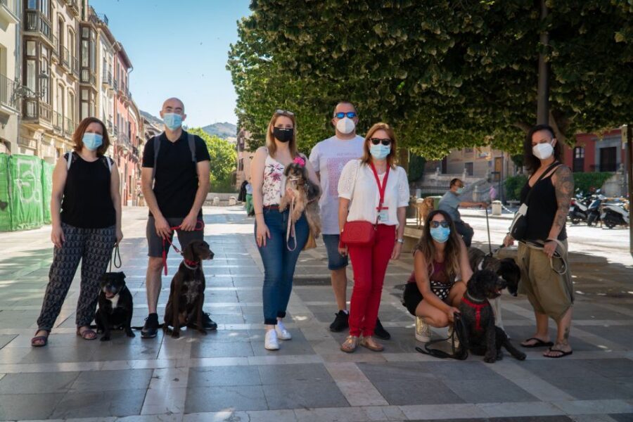 Granada: Guided Albaicín Visit with Pets - Starting at Palacio de la Real Chancillería: your launch point in the Albaicín