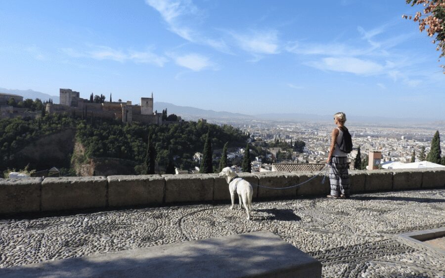 Granada: Guided Albaicín Visit with Pets - Plaza Nueva up toward Mirador de San Nicolás: getting the Alhambra views