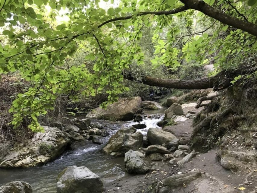 Granada: Guided Day Hike in Los Cahorros de Monachil - Key points before you go