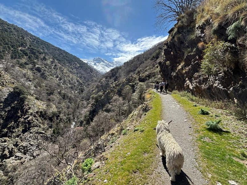 Granada: High Sierra Nevada Hiking Tour to 3000 Meters - Granada Heat Off, Sierra Nevada Cool On