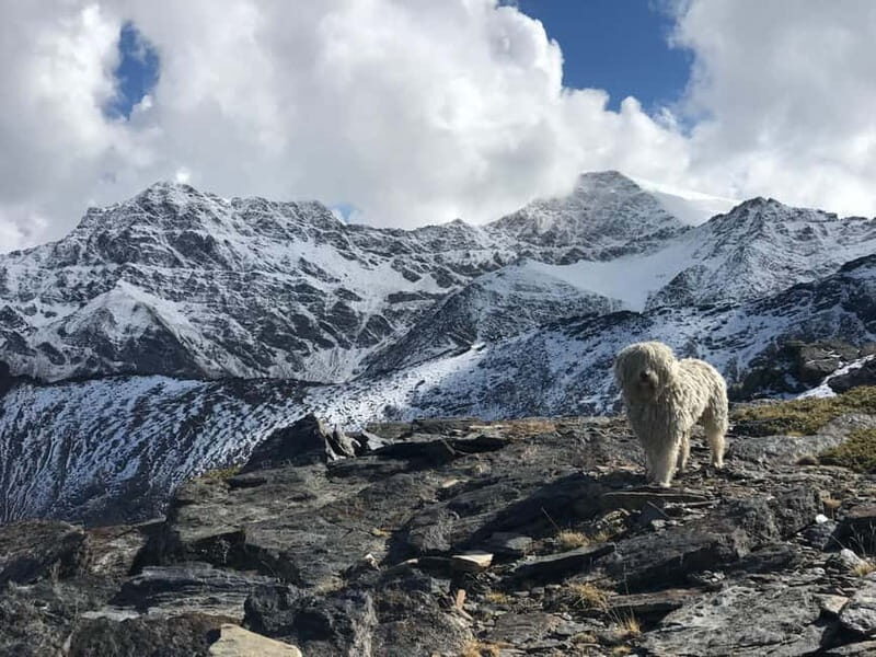 Granada: High Sierra Nevada Hiking Tour to 3000 Meters - Guides, English/Spanish, and Why Kai Makes It Feel Easier