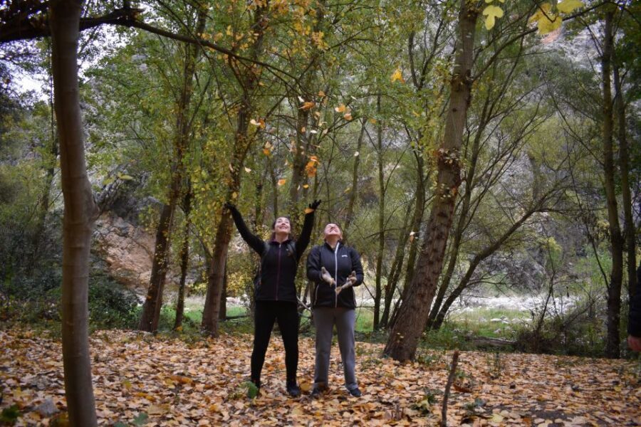 Granada: Hiking along the Gollizno route - Who should book the Gollizno route hike from Granada