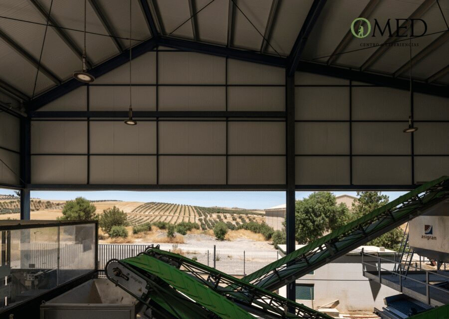 Granada in EVOO: Guided tour and unique sensorial tasting - Should you book O-MED in Granada?