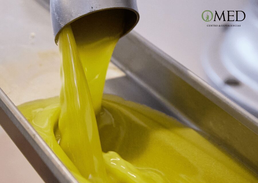 Granada in EVOO: Guided tour and unique sensorial tasting - The sustainability angle: what you’re really learning, not just hearing
