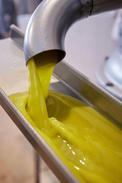 Granada in EVOO: Guided tour and unique sensorial tasting - Price and value: why $35 feels fair for what you get